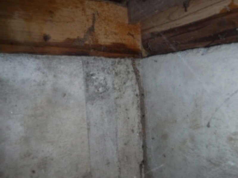 床下では、トイレ下でシロアリの蟻道が土壌から土台まで上がっていました。